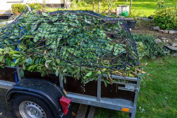 Best Residential Junk Removal  in St Bonifacius, MN